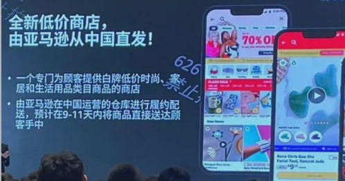 亚马逊低价商店市场趋势分析