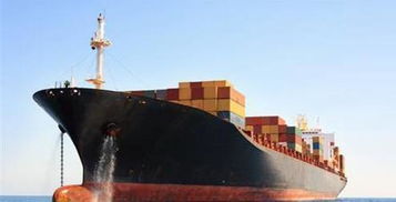 3. 参考历史报价