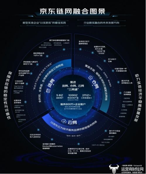 股权关系表格：