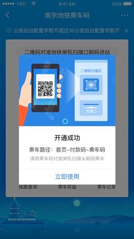 二、 开通Ozon支付的具体步骤