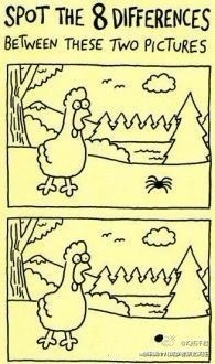 三、 精补与简补在细节处理上的差异