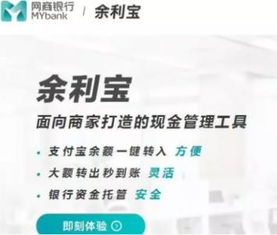 余利宝的平安性分析