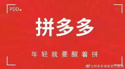 二、拼多多人工审核封店后来啊公布时间