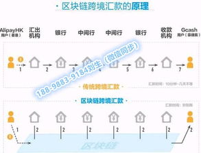 三、 汇款过程中的错误及其补救措施