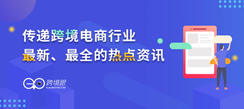 一、速卖通：全球电商零售平台的新星