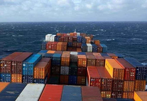 九、 深圳出口加工区代理退港维修货物