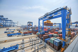 别碰“巨无霸”产品