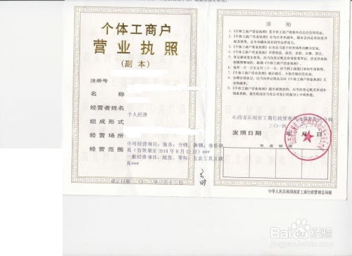 提交申请后的商标审查过程