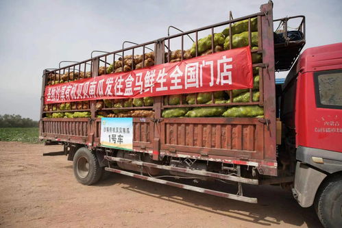 一、 盒马小货车到家配送服务背景