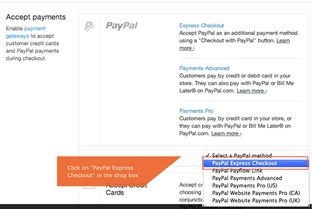 Shopify模板的付费模式：一次性还是持续订阅