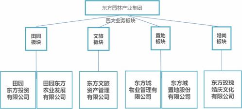 香港企业业务运作认定的标准