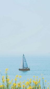 砥砺前行的精神动力：“不问收获， 只求努力”