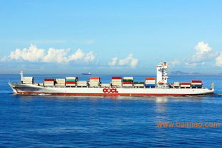 四、 清关服务与挑战