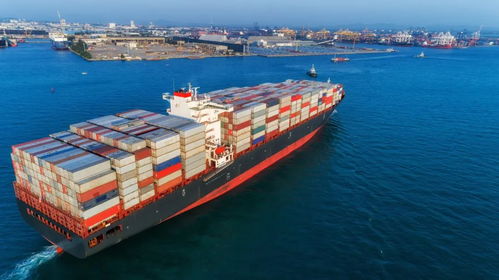 多平台联动， 让商品走向全球