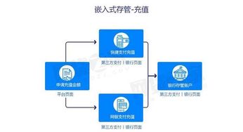建立专门的合规管理体系