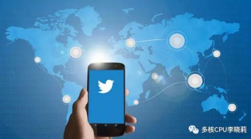 注重数据分析与优化