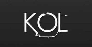 KOL营销：成熟的海外营销方式