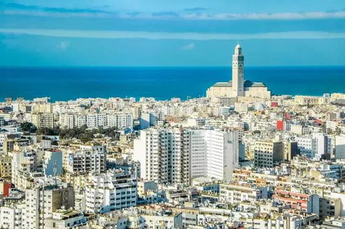 从达尔贝达到卡萨布兰卡