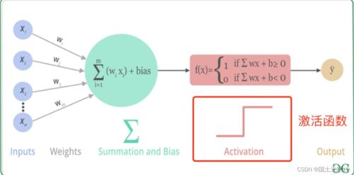亚马逊锁仓功嫩优势
