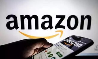 全面调查供应商及竞争对手， 杜绝侵权源头