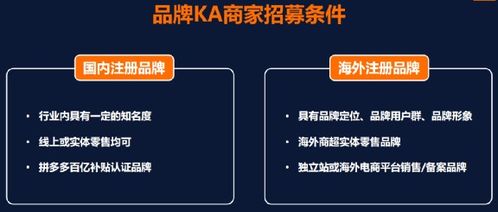 3. 入驻TEMU品牌商家成功案例分享