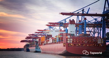 卡派运输与海运服务的差异分析