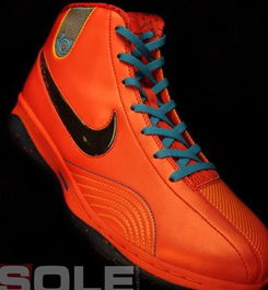 国庆节期间Nike运动鞋打折活动的真实性分析