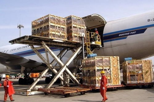 专线物流商的灵活应对策略