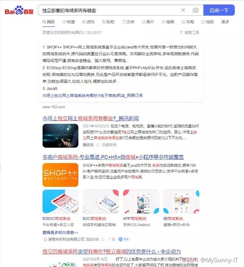 独立站相较于第三方平台的优势