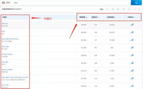 拓展关键词的作用