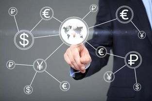 资金流动的透明化与本地化