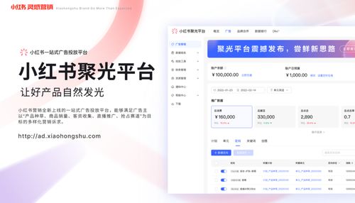 一、 聚光平台简介