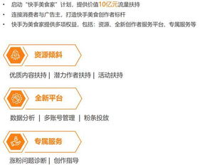 10亿流量支持， 打造“3个100”工程