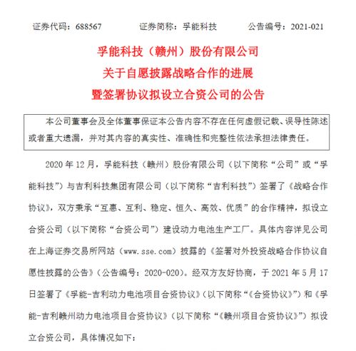 3. 资本运作多样化