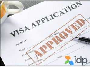 三、 广告投放设置与代运营服务