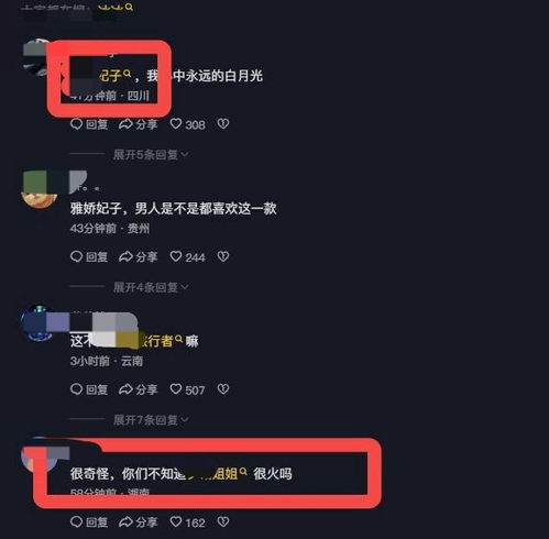 5. 恶意举报他人