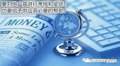 1.1 市场表现亮点