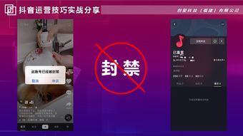 三、提高内容质量，合理利用其他渠道