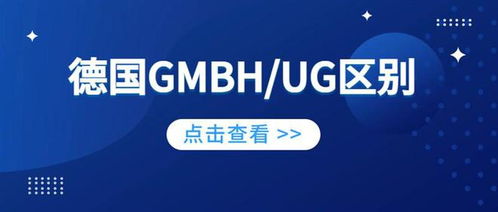 四、 美国：公司类型多样