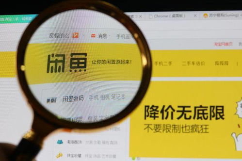 1. 市场需求分析