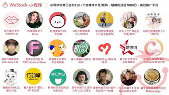 二、 优秀的创始人及团队：凝聚力量，共筑梦想