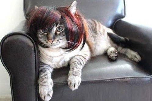 三、入驻基本条件