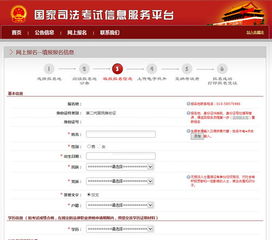 7. 税务及社保登记