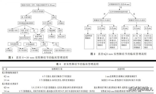 一、 外贸水单的定义与重要性