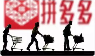 一、 拼多多卖假货的现状