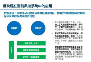 AI风控与区块链技术提升平安性