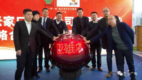 合作的具体内容与目标