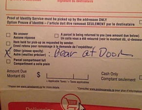 美国至中国的快递时间