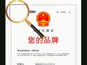 七、 公告与异议处理