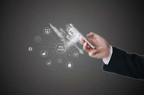 5. 用户反馈与数据分析